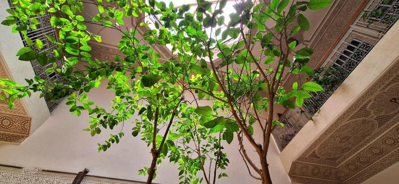 Riad 111 & Spa 马拉喀什 外观 照片