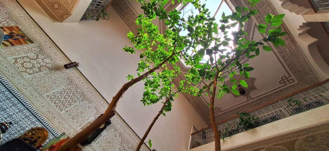 Riad 111 & Spa 马拉喀什 外观 照片